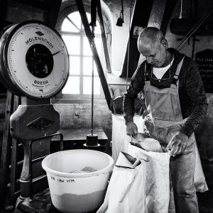 fotoreportage-holtens molen-harriejegerings