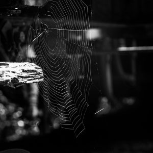 urbex Gare Hombourg zwart-wit Harrie Jegerings